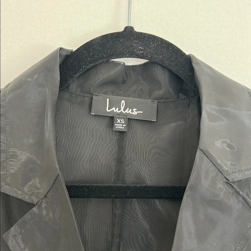 Black Sheer Trench Coat - Picture 4 of 6